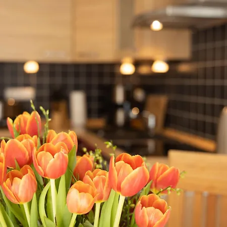 Heide-1 By Interhome * Karlshagen