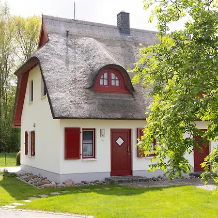 Heide-1 By Interhome Feriehus Karlshagen