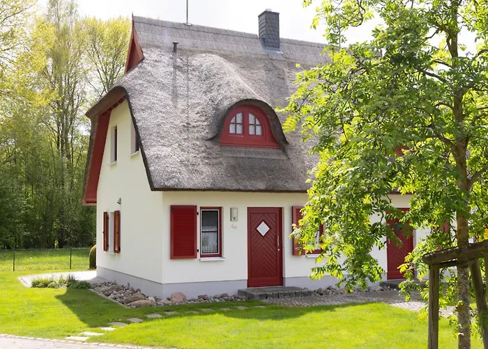 Heide-1 By Interhome بيت للعطل Karlshagen